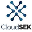 cloudsek-squarelogo-1560754856559